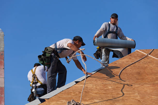 Best Roofing Contractors for Homes  in Amherst, WI