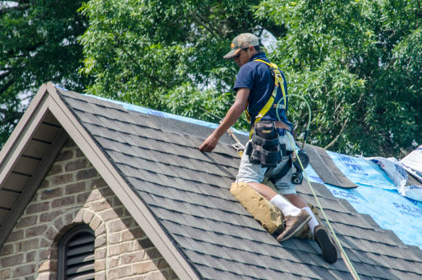 Best Roof Gutter Cleaning  in Amherst, WI